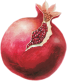 PD-139/1 Pomegranate (Nature)